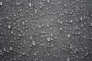 cache_assets_id_68lYbv8KH3TrsGvnnDP23k 5Lt WB Polyamide Primer